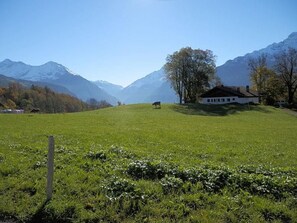 Property grounds - Chalet Flüehli Roth by Interhome (Hasliberg)