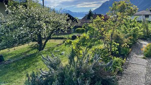 Ländliche Landschaft mit blauem Himmel, Bergen im Hintergrund und verschiedenen blühenden Pflanzen im Vordergrund.