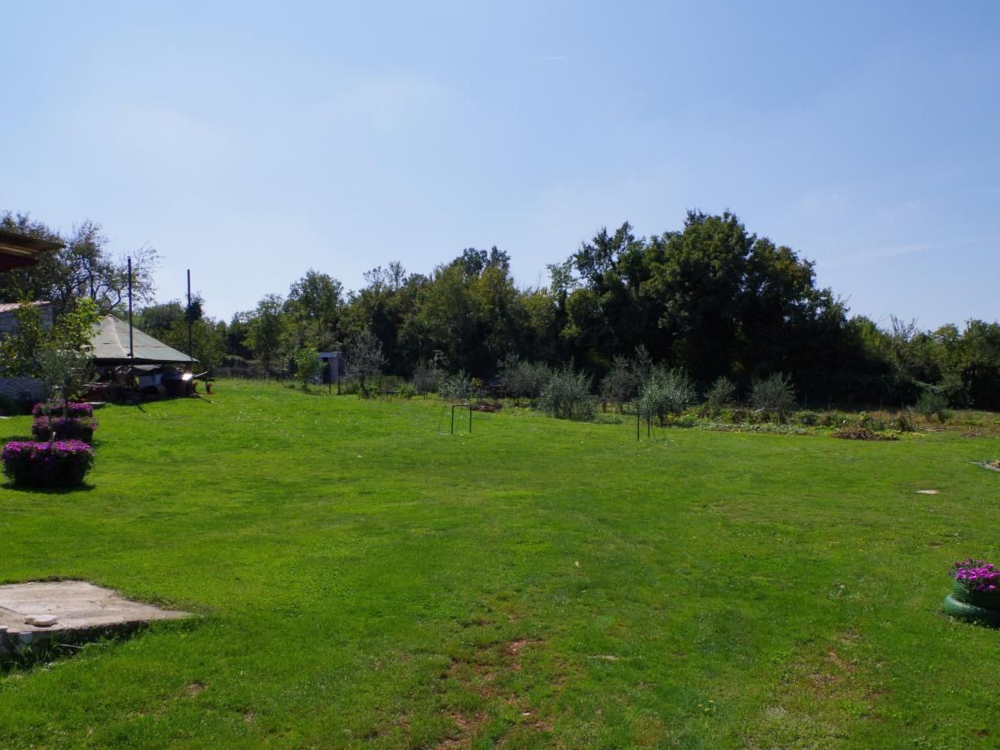 Un'area verdeggiante all'aperto con un piccolo deposito e una casa sullo sfondo.