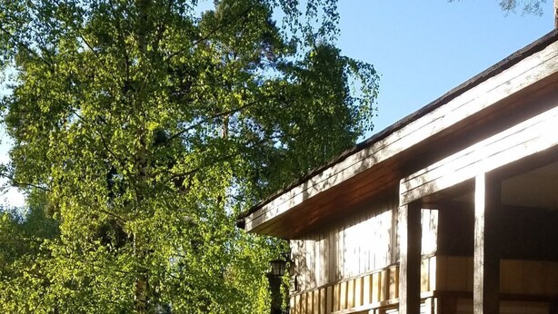 A building with large windows and a wooden exterior, surrounded by lush greenery and trees. - mit Wallbox by Interhome (Diensdorf-Radlow)