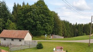 Ett grönområde med en gunga, en liten byggnad och en stenmur.