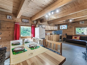 TV, fireplace, DVD player