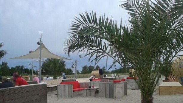 An outdoor seating area with wooden furniture and a palm tree. - Apartment Ole by Interhome (Oldenburg in Holstein)