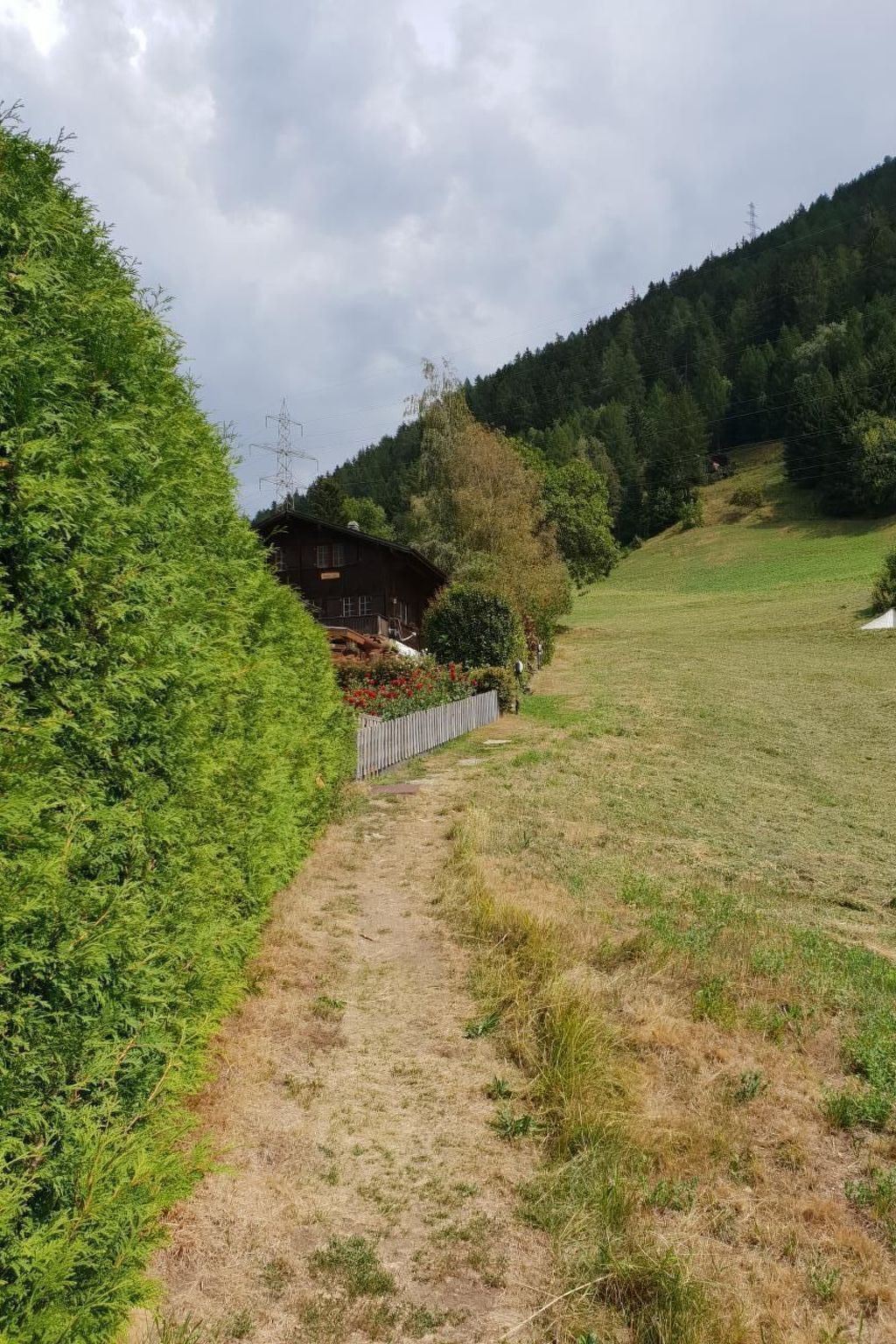 Un paysage rural avec une cabane en bois, un chemin de terre et une colline boisée.