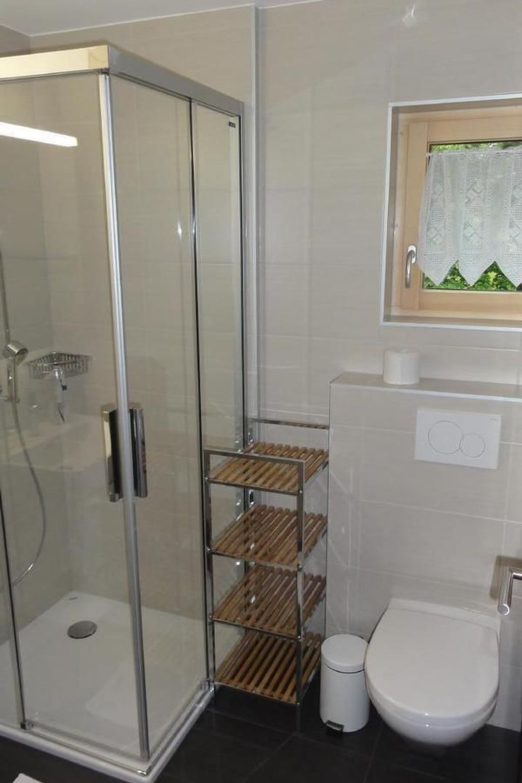 Baño con ducha envuelta en vidrio, inodoro y estante con artículos de aseo.