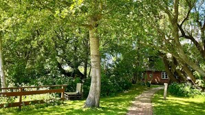 Oklassificerad bild, 4 av 49, knapp