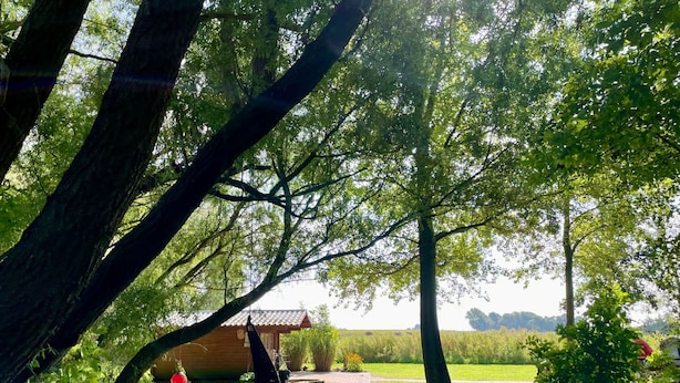 Oklassificerad bild, 1 av 49, knapp