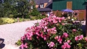 En byggnad med en grön fasad, en grusuppfart och rosa blommande buskar.