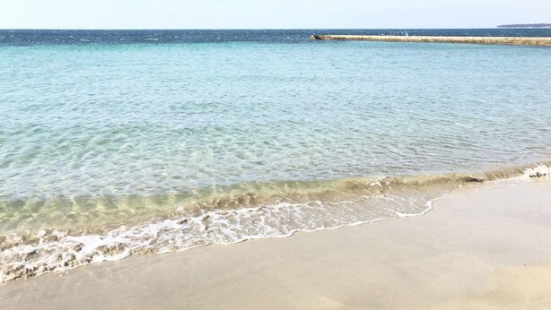 Una spiaggia con acque limpide, una riva sabbiosa e un molo frangiflutti all'orizzonte.
