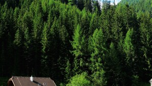 Ein Haus mit geneigtem Dach und einem kleinen Balkon, umgeben von dichtem Wald und einem Berg im Hintergrund.