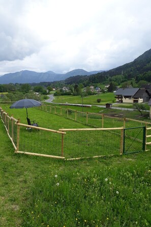 Property grounds - Johanna in Dreulach by Interhome (Dreulach)