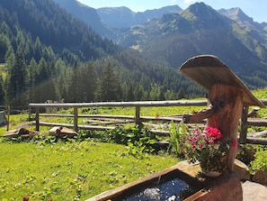 A rustic outdoor setting with a wooden fence, a wooden structure with a flower pot, and a small water feature. - Frojach by Interhome (Frojach)