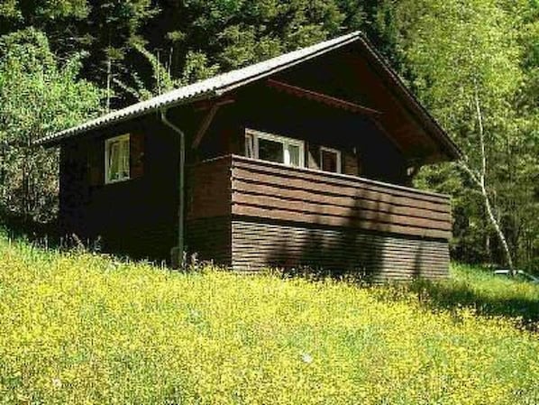 Exterior - Arthurhütte in Hohenweiler by Interhome (Hohenweiler)