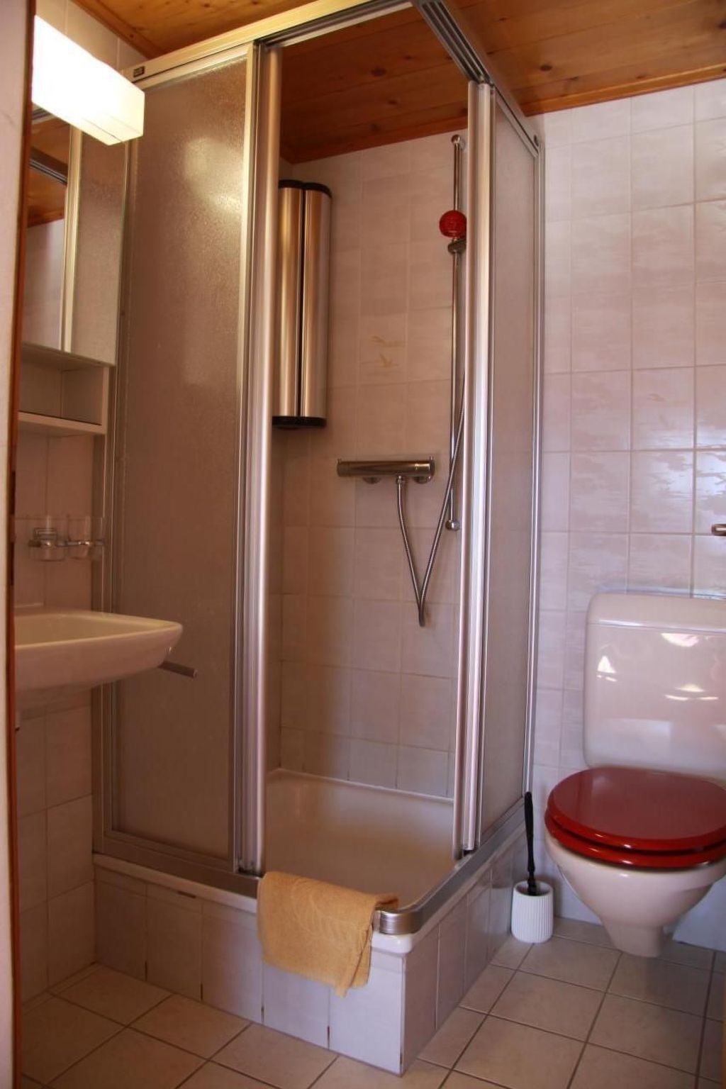 A bathroom with a shower enclosure, a sink, and a toilet.