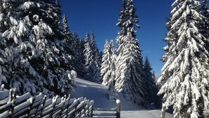 A snow-covered ski slope with wooden fences and snow-laden trees. - Guglhütte by Interhome (Reichenfels)