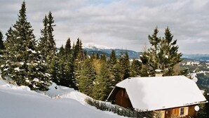 A wooden cabin with a snow-covered roof, surrounded by evergreen trees and a mountainous backdrop. - Guglhütte by Interhome (Reichenfels)