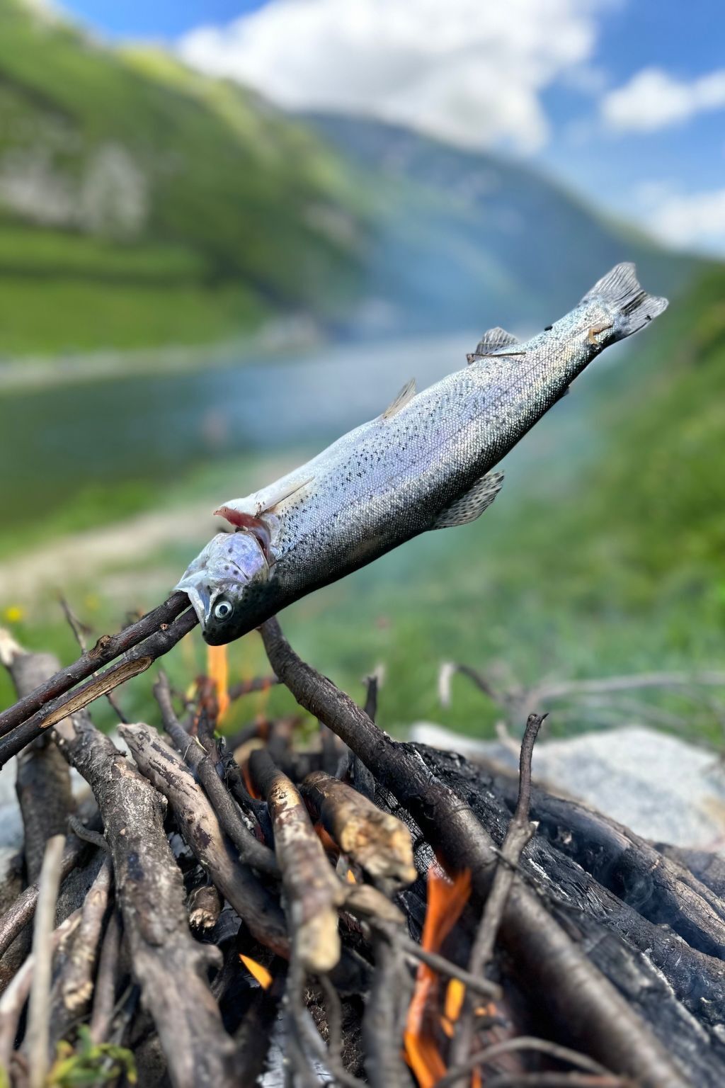 Un pescado ensartado sobre una fogata, con un paisaje montañoso al fondo.