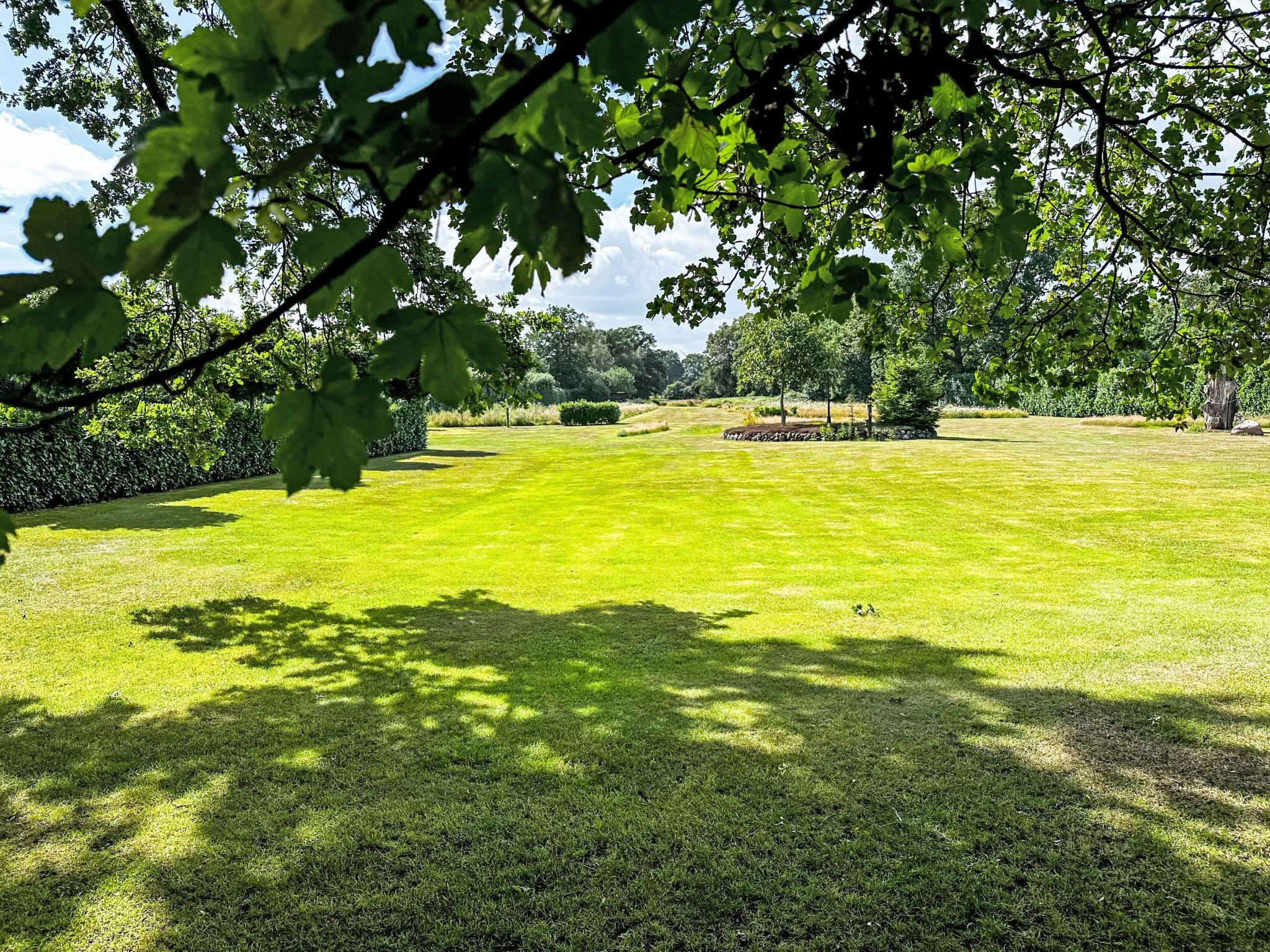 A well-maintained grassy lawn with a hedge and trees in the background.
