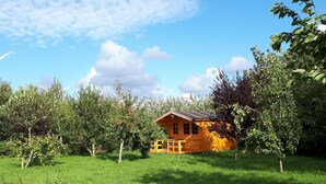 Een houten chalet met een veranda, omgeven door weelderige begroeiing en bomen.