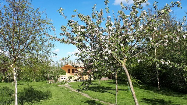 Een huis omringd door een gazon met bomen en een helderblauwe lucht.
