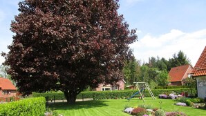 Un giardino curato con un grande albero, altalene e siepi ben potate.