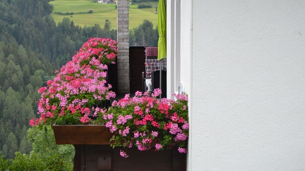 A balcony with a wooden planter filled with pink flowers, a brick pillar, and a view of a green valley with houses. - Haus Tauber by Interhome (Jerzens)