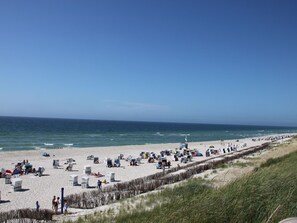En strand med rader av strandstolar och parasoller, en sandstrand och havet i bakgrunden.