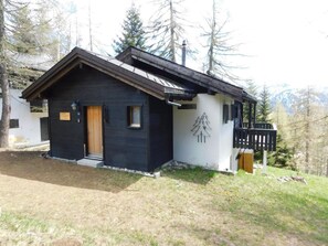 Exterior - Chalet Silentium by Interhome (Bellwald)