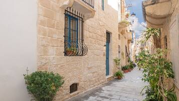 A narrow street with stone buildings, potted plants, and a blue door.