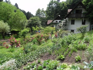 Áreas de la propiedad