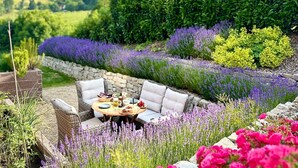 Un espacio de estar al aire libre con un muro de piedra, rodeado de plantas y flores diversas.