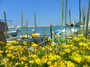 Ein Yachthafen mit angestaubten Booten, umgeben von gelben Blumen.