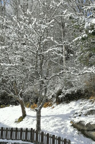 Riedbach in Mutters by Interhome