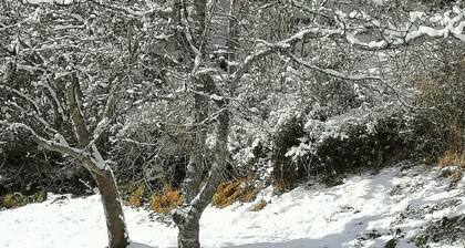 Riedbach in Mutters by Interhome