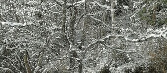 Riedbach in Mutters by Interhome