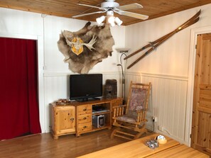 Télévision, cheminée, lecteur de DVD