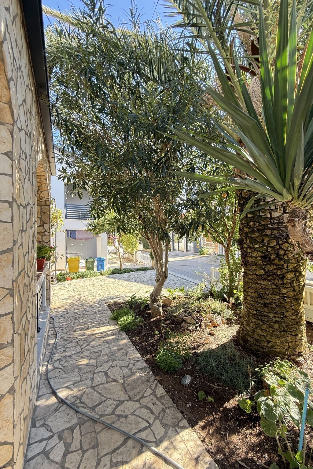 Un sendero de piedra que conduce a un edificio con una palmera y un pequeño jardín.