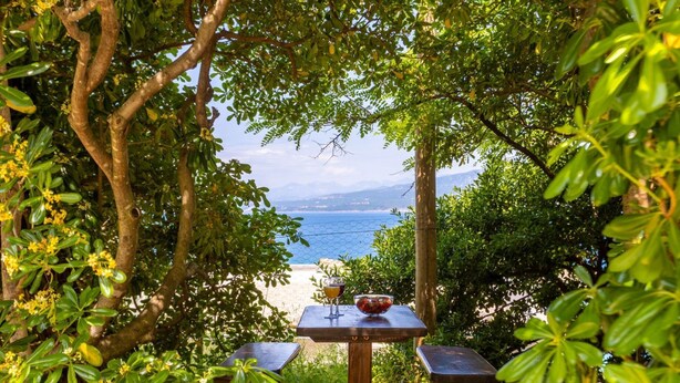 Una mesa de madera con dos bancos, rodeada de vegetación exuberante, con vista a una playa y al mar de fondo.