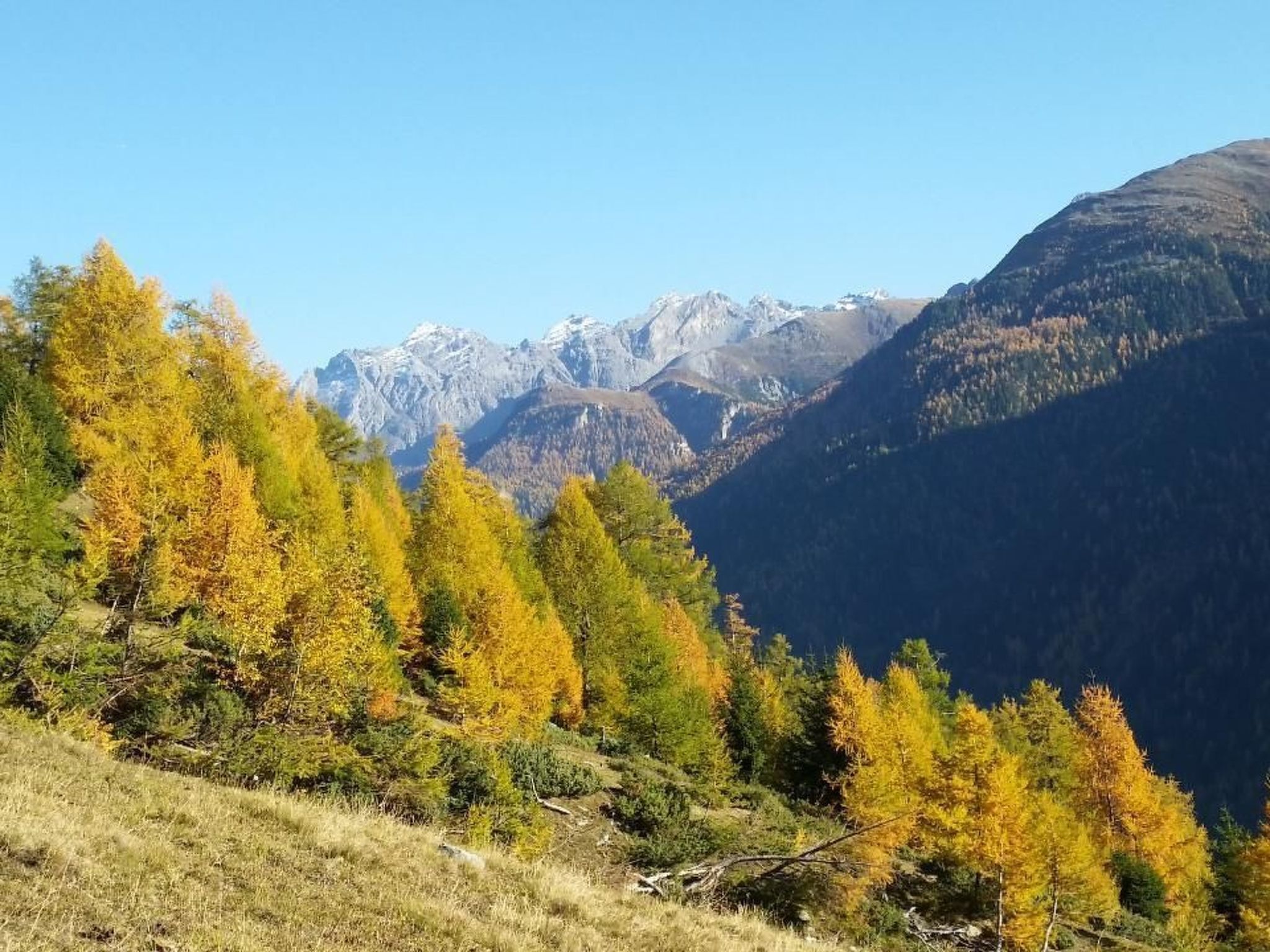 A mountainous landscape with autumn-colored trees and snow-capped peaks in the background.