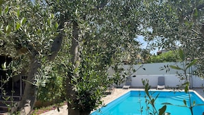 Ein Swimmingpool, umgeben von Olivenbäumen und einer Steinterrasse.