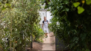 A pathway leading to a building surrounded by greenery.
