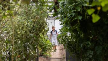 Enceinte de lâhĂ©bergement