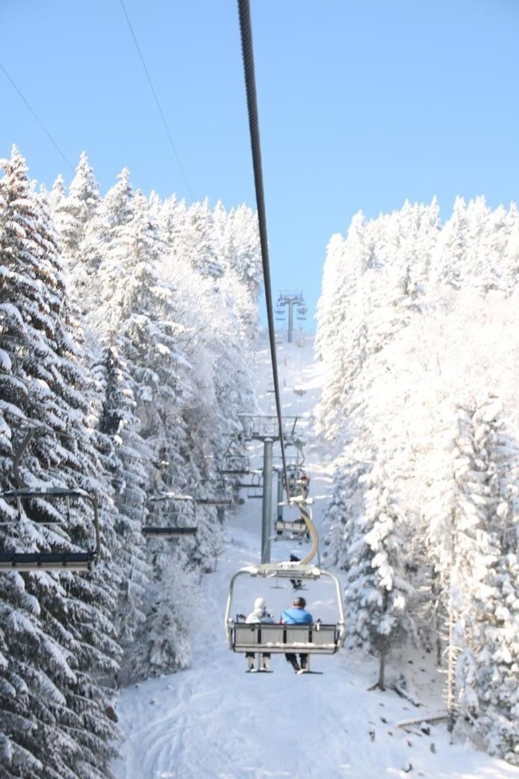 Un telesilla con dos pasajeros, rodeado de árboles cubiertos de nieve.