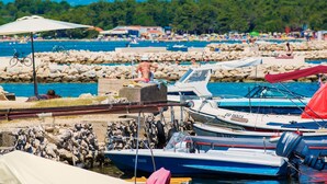 A marina with boats docked, a rocky shore, and a beach with people in the background. - Wohnung "Astoria" mit Blick auf das Wasser by Interhome (Zaton)