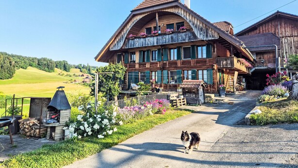 A traditional wooden house with a sloped roof, a balcony with flowers, and a paved driveway.