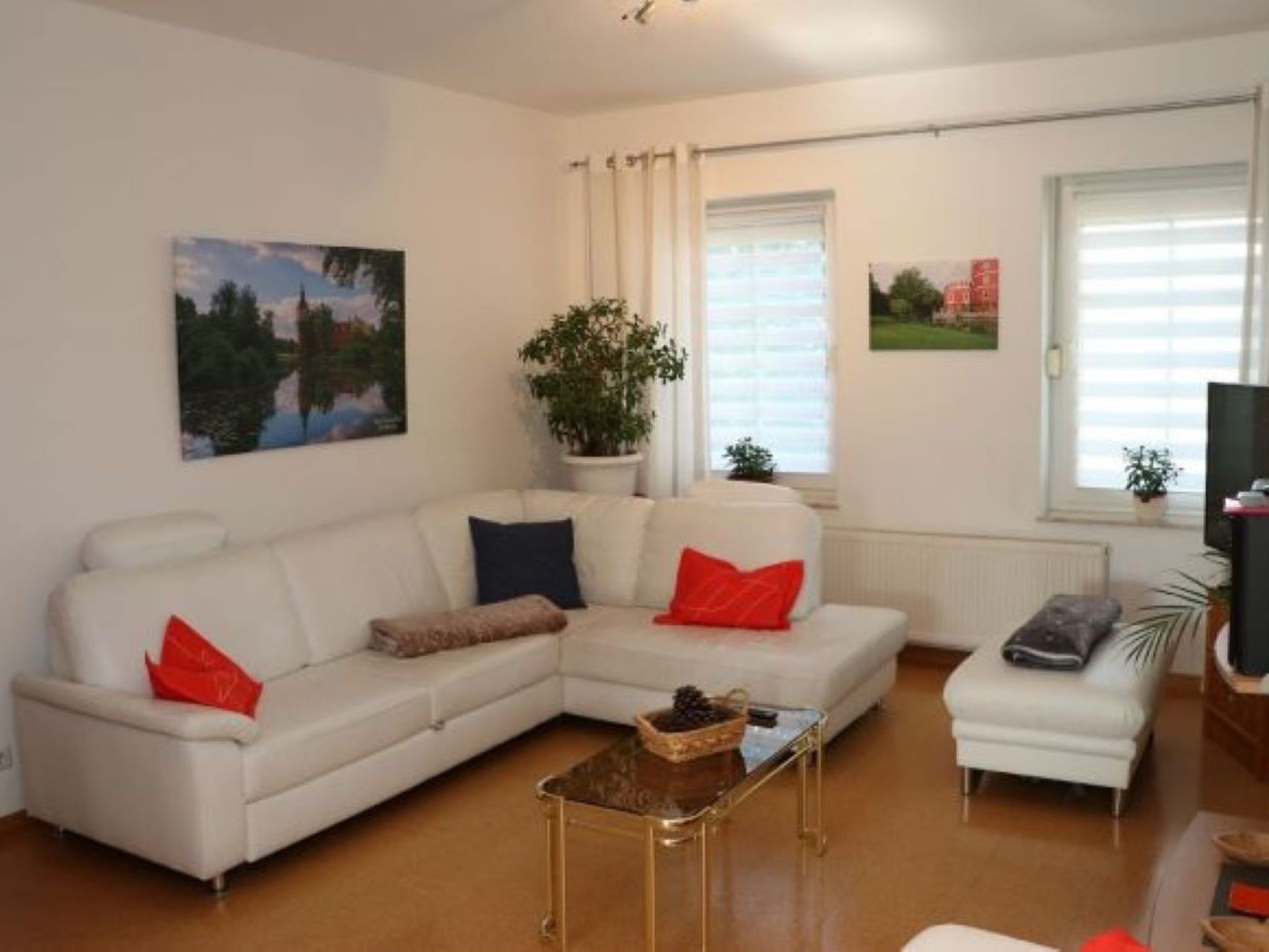 电视、DVD 播放器