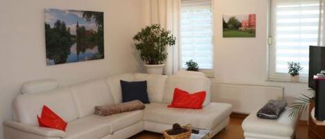 电视、DVD 播放器