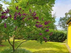 Property grounds - Landhaus Müritzliebe by Interhome (Ludorf)