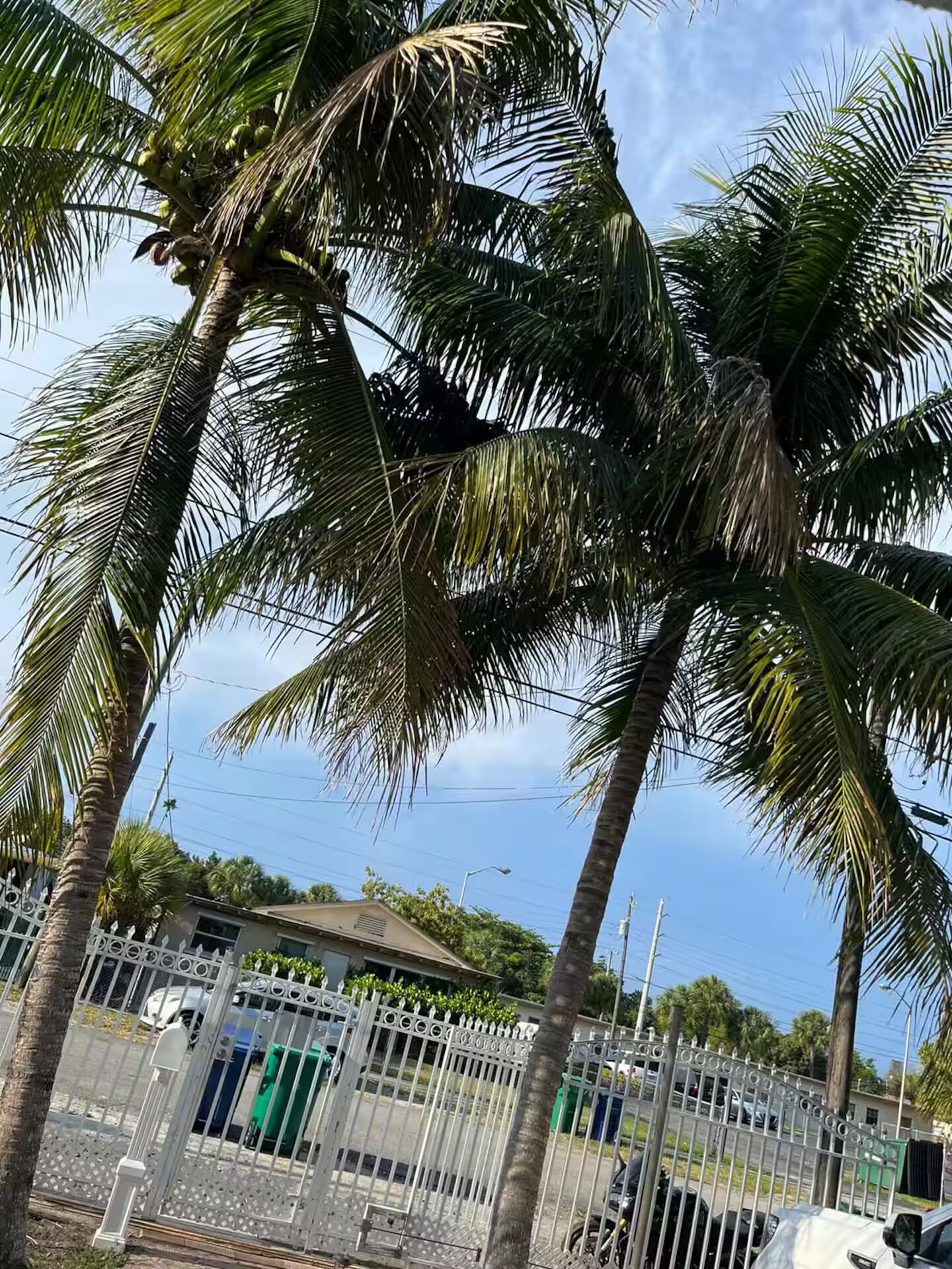 المنطقة المحيطة بالمنشأة