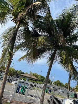 Overnatningsstedets område